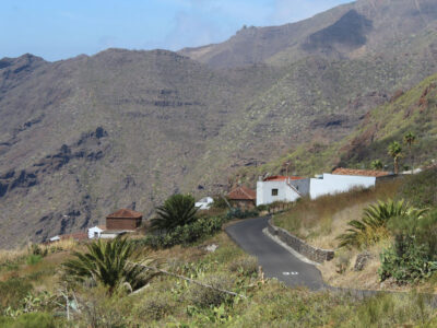 carrizales
