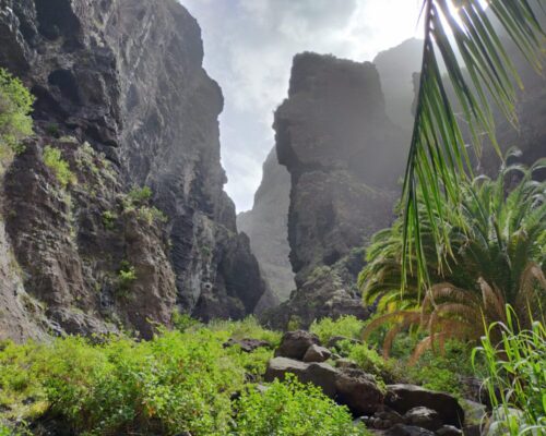 masca-1067x800